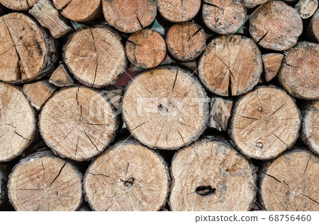 many wooden logs trunks close up many wooden logs trunks close up 68756460