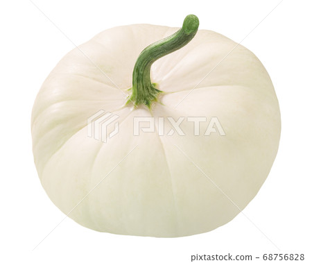 White Pattypan squash (Cucurbita pepo fruit)  68756828