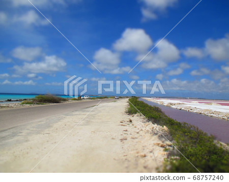 博內爾島Shiota和海洋Saltpans西洋鏡風格 68757240