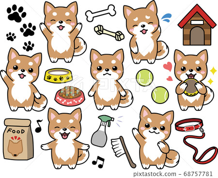 Shiba Inu character's positive expression collection 68757781