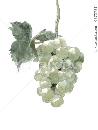 葡萄與葡萄瀨戶巨人單調[水墨繪畫風格] 68757814