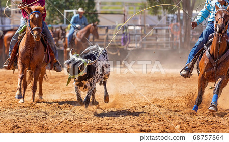 Calf Roping At A Country Rodeo Calf Roping At A Country Rodeo 68757864