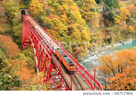 黑部峽谷和無軌電車在秋天的顏色 68757968