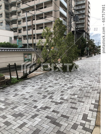 Typhoon damage Typhoon damage 68757981