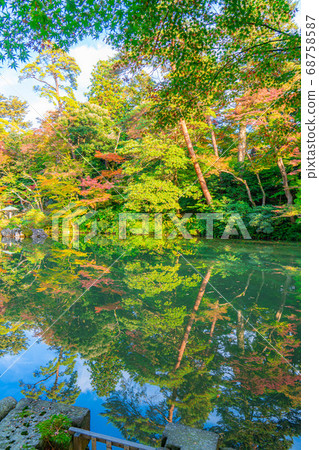 Autumn leaves at Kenrokuen in autumn [Ishikawa Prefecture] 68758587