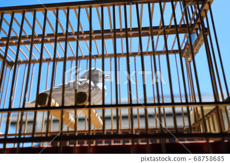 Wooden birdcage and clay bird 68758685