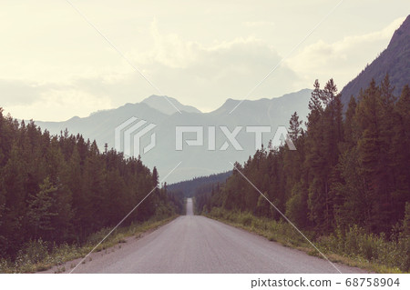 Road on Alaska Road on Alaska 68758904