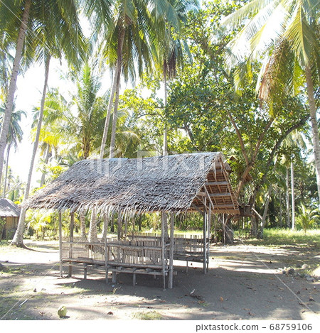 菲律賓棉蘭老島上的自然和小屋景觀 菲律賓棉蘭老島上的自然和小屋景觀 68759106