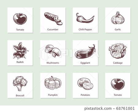 Vegetables slide set. Templates for label design with hand drawn linear vegetable, various vintage hand drawn food with text, farming food. Sketch style vector isolated set Vegetables slide set. Templates for label design with hand drawn linear vegetable, various vintage hand drawn food with text, farming food. Sketch style vector isolated set 68761801