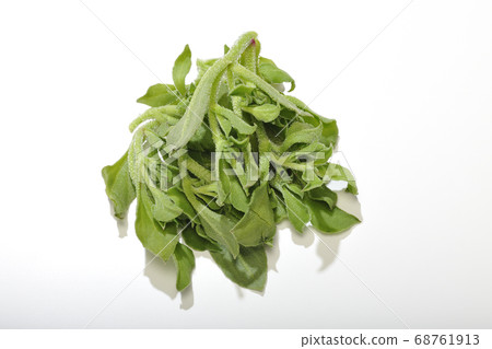 Ice plant 68761913