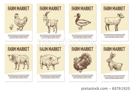 Farm animals labels. Tags for shops of organic food, hand drawn chicken and cow, pig and sheep, turkey and duck monochrome badges in engraving style vector emblems with copy space 68761920