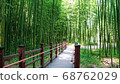 Bamboo forest 68762029