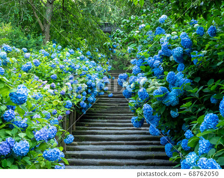 Kita-Kamakura/Meigetsuin 68762050