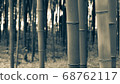 Bamboo (black and white version) 68762117