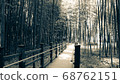 Bamboo promenade (black and white) 68762151