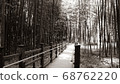 Bamboo walkway (black and white) 68762220