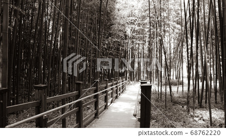 Bamboo walkway (black and white) 68762220