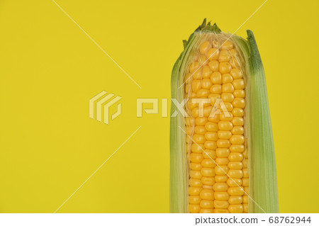 新鮮玉米背景黃色 68762944