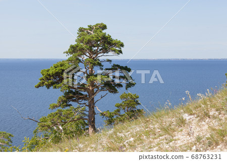 Amazing view on the Volga river in Togliatty Amazing view on the Volga river in Togliatty 68763231