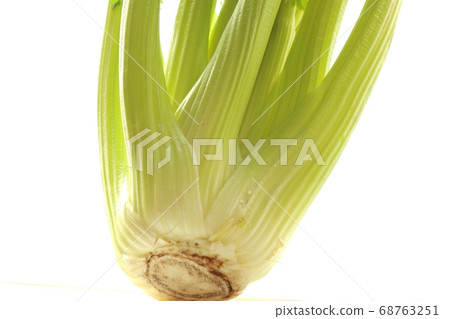 芹菜 68763251