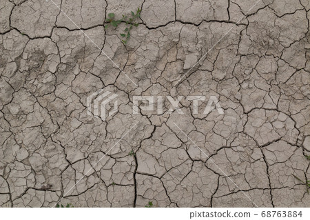 Structure of the dry field, Slovkia Structure of the dry field, Slovkia 68763884