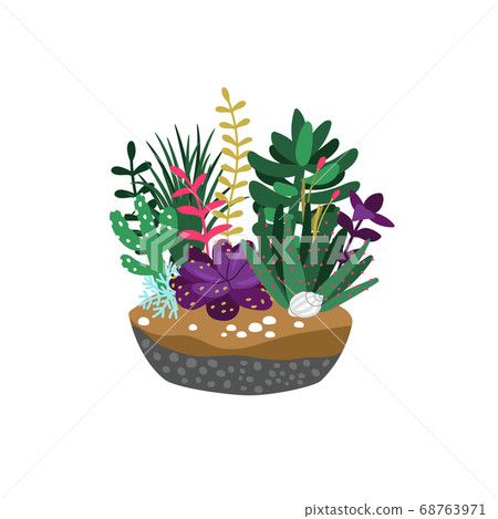 potting soil for aloe vera plants Aloe Vera Potting Soil Mix (Choose Size), Custom Blend for Aloe Vera Plants  and Succulent Houseplants – Kurated Korner