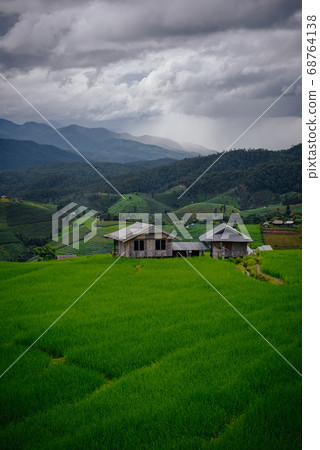 The beautiful scenery of the green terraced rice field of Bong Piang forest village. 68764138