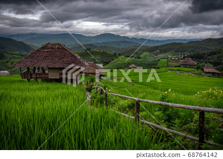 The beautiful scenery of the green terraced rice field of Bong Piang forest village. 68764142