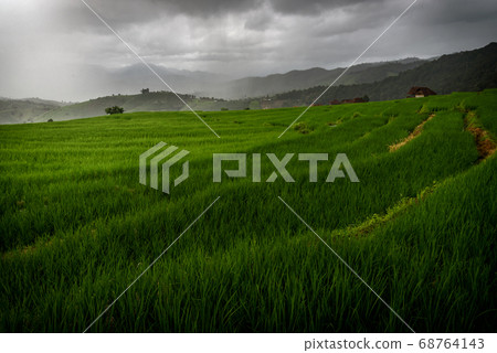 The beautiful scenery of the green terraced rice field of Bong Piang forest village. 68764143