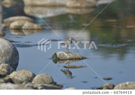 存在一種船。 68764419