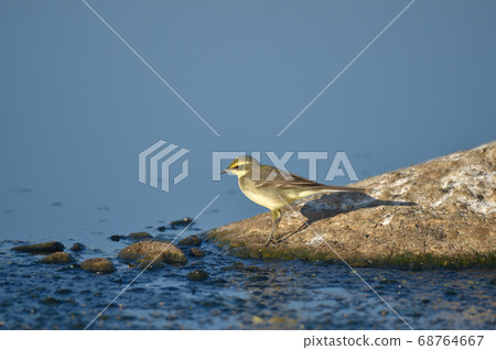 存在一種船。 68764667