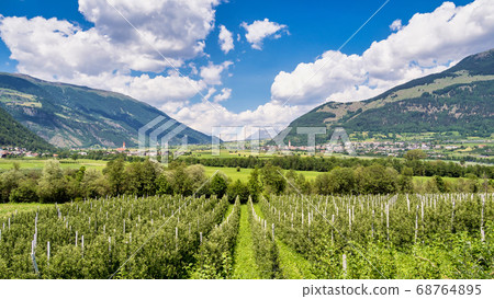 Val Venosta, Vinschgau, Alto Adige, Italy. View 68764895