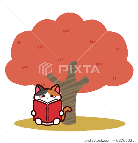 Autumn of reading Cat reading a book under a tree 68765323