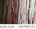Wood nature bark mysterious 68766331