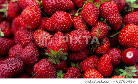Freshly picked strawberries. Food background. Freshly picked strawberries. Food background. 68766489