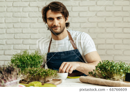 Attractive bearded man farmer taking care of sprouts of microgreens 68766609