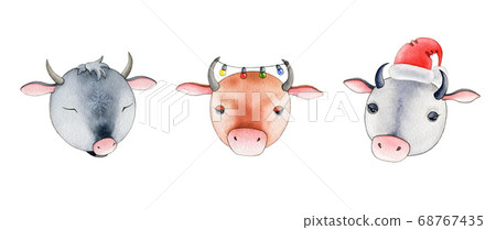 Funny cartoon bull or cow illustration set. Funny cartoon bull or cow illustration set. 68767435