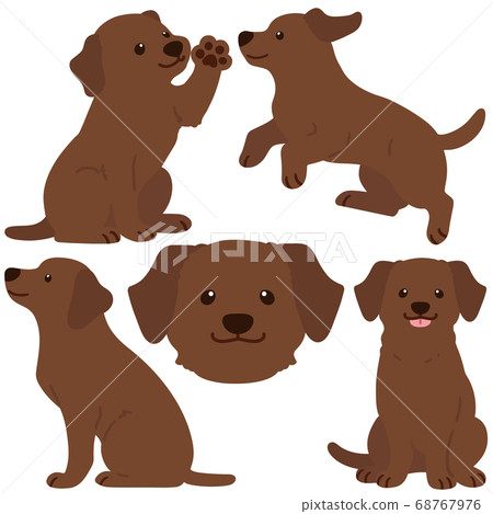 Cute chocolate labrador illustration set without main line 68767976