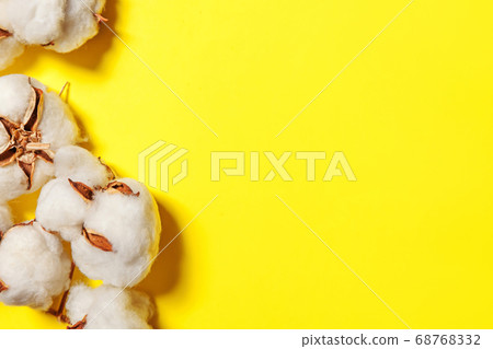 Simply minimal design with white cotton flowers 68768332