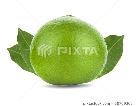 lime an isolated on white background 68769303