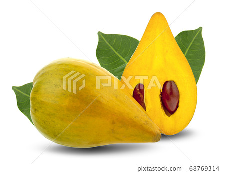 Egg fruit, Canistel, Yellow Sapote (Pouteria 68769314