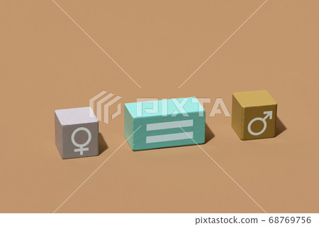 depiction of gender equality with toy blocks depiction of gender equality with toy blocks 68769756