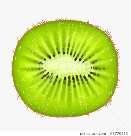 kiwi fruit front view on white back kiwi fruit front view on white back 68770213