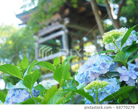 北海道Usu Zenkoji繡球寺的景觀 北海道Usu Zenkoji繡球寺的景觀 68770279