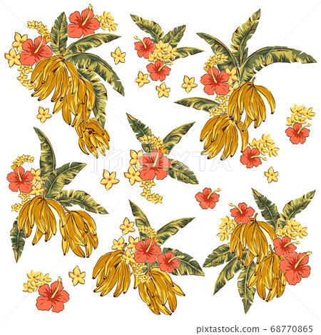 Tropical plant and banana tropical illustration material, Tropical plant and banana tropical illustration material, 68770865