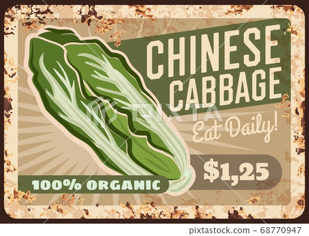 Cabbage Chinese napa rusty metal plate, vegetables Cabbage Chinese napa rusty metal plate, vegetables 68770947
