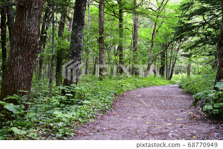 Kamikochi_遠足徑 Kamikochi_遠足徑 68770949
