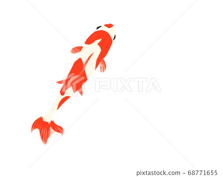 Illustration of a goldfish seen from above 68771655