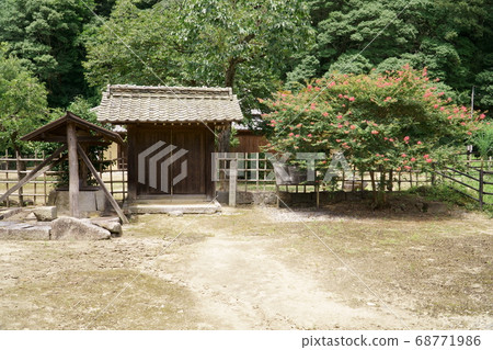 岡山縣北山市北區朝森市木下俊重家族的中庭和桃金孃花 岡山縣北山市北區朝森市木下俊重家族的中庭和桃金孃花 68771986