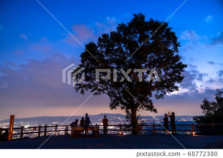 《Nara Prefecture》 Three major night views of New Japan and Mt. Wakakusa 68772380